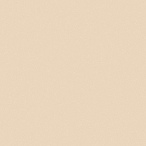 Eggshell plain colour vinyl - colour,